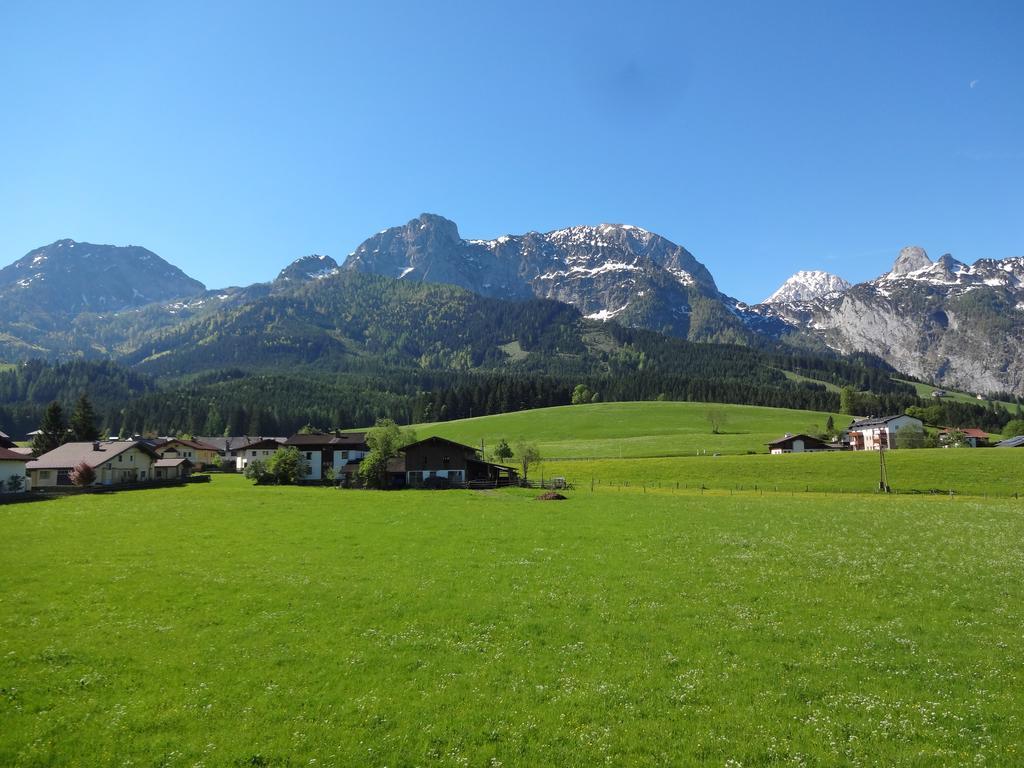 Haus Erlbacher Abtenau Dış mekan fotoğraf